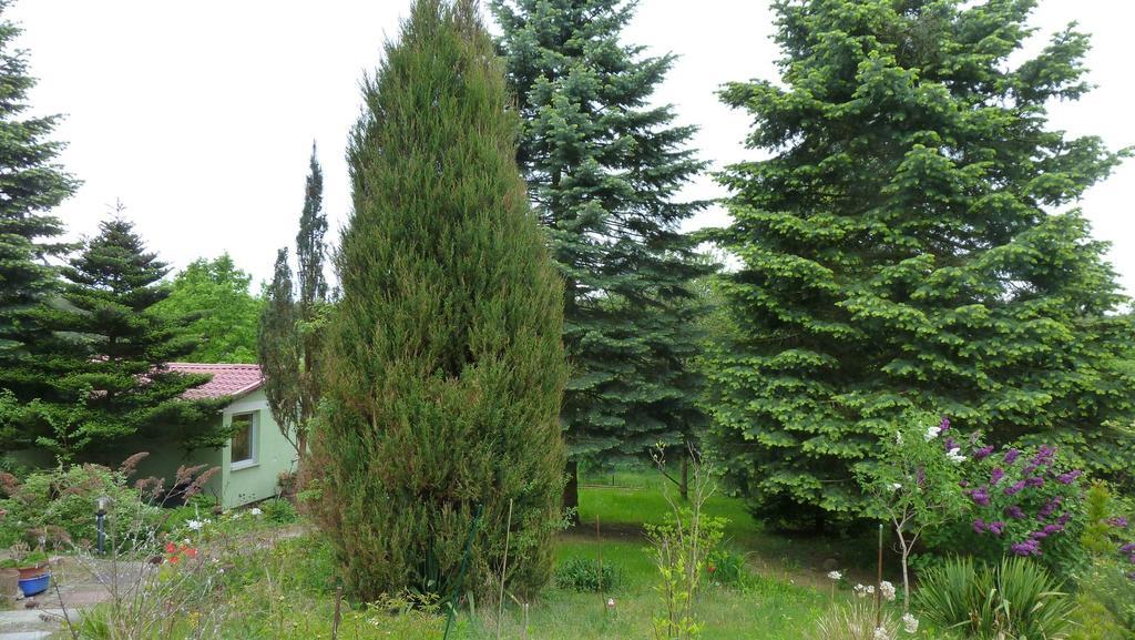 Bungalow Am Kuestrinsee Bei Лихен Экстерьер фото
